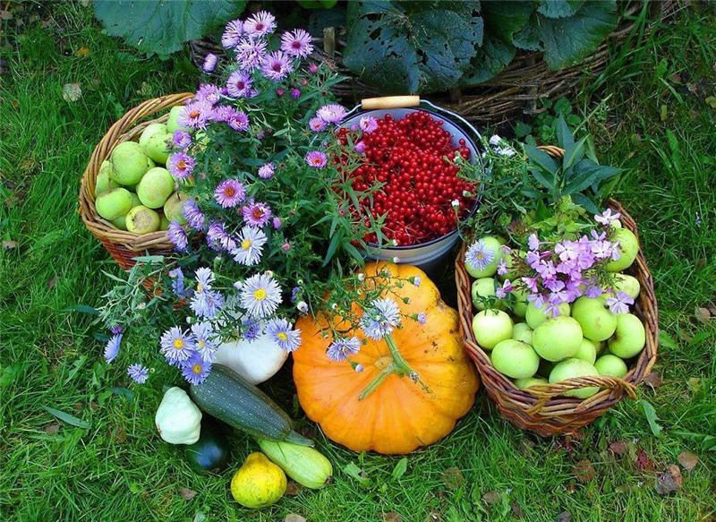Календарь садовода, огородника и цветовода