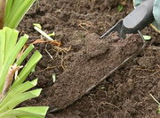 почва для растений